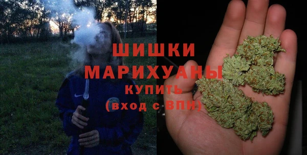 прущие крисы Пересвет